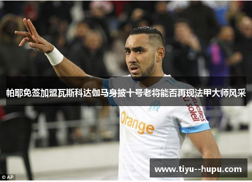 帕耶免签加盟瓦斯科达伽马身披十号老将能否再现法甲大师风采