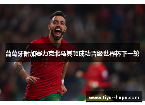 葡萄牙附加赛力克北马其顿成功晋级世界杯下一轮 葡萄牙附加赛力克北马其顿成功晋级世界杯下一轮