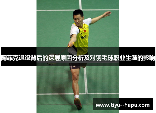 陶菲克退役背后的深层原因分析及对羽毛球职业生涯的影响