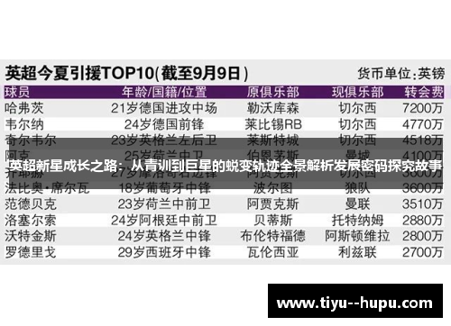 英超新星成长之路：从青训到巨星的蜕变轨迹全景解析发展密码探究故事